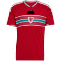 Camiseta Gales 2026